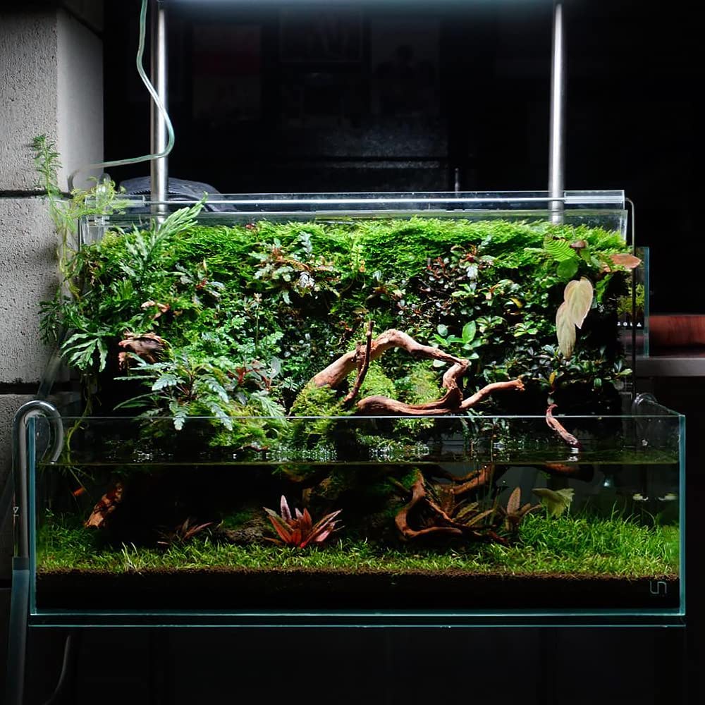 Ultum Nature Systems Controsoil-enriched substrate supports live plant propagation.