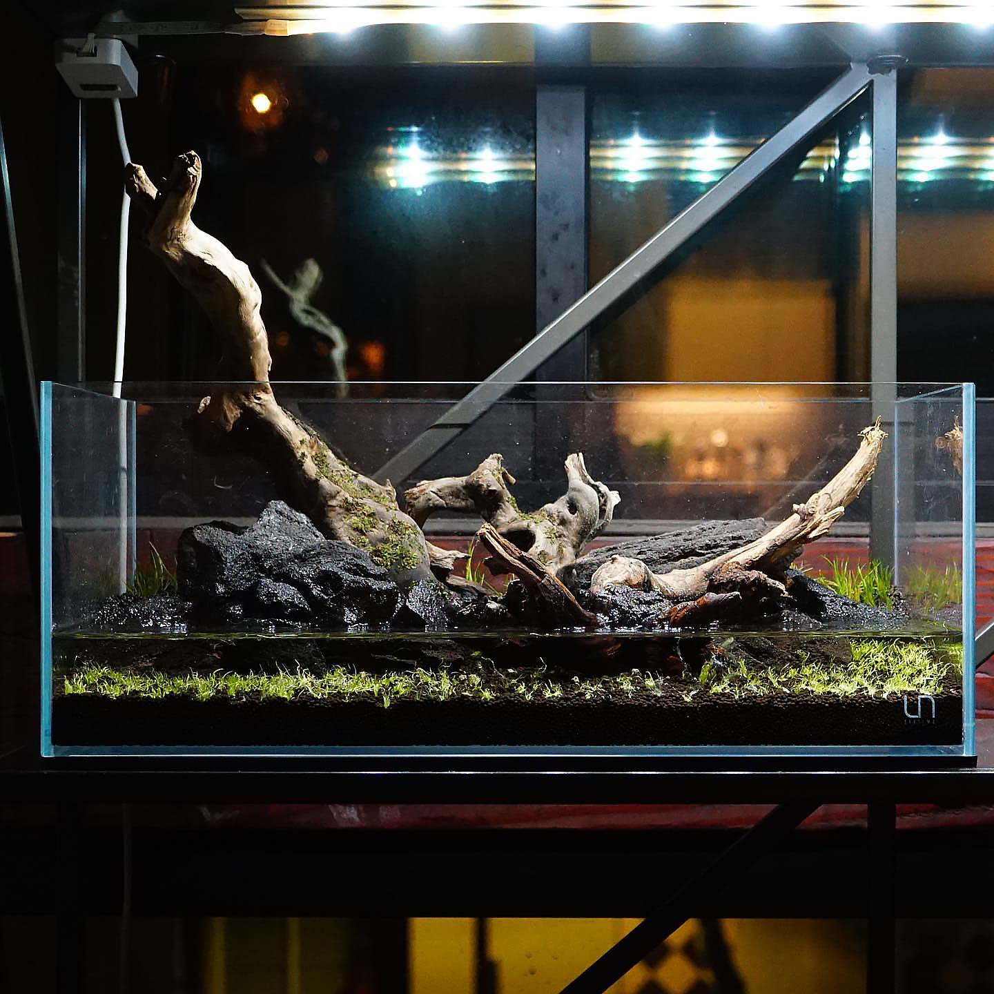 Root growth view with Controsoil shows robust establishment for aquatic plants