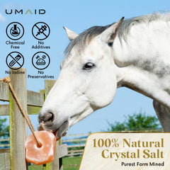 UMAID two-pack salt lick on rope offers convenient livestock minerals.