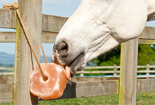 UMAID Himalayan salt lick on rope for deer supports essential minerals during grazing.