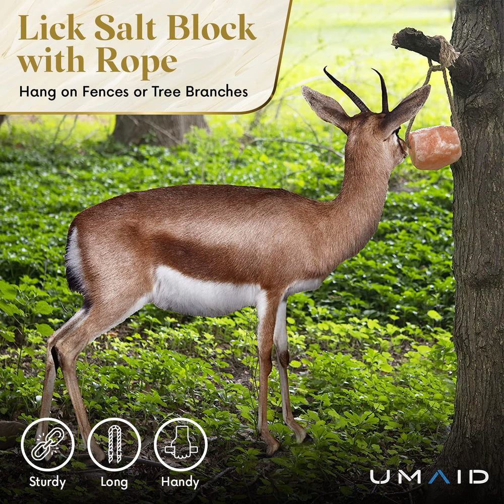 UMAID Himalayan Salt Lick Rope hanging mount demonstrates easy stall placement