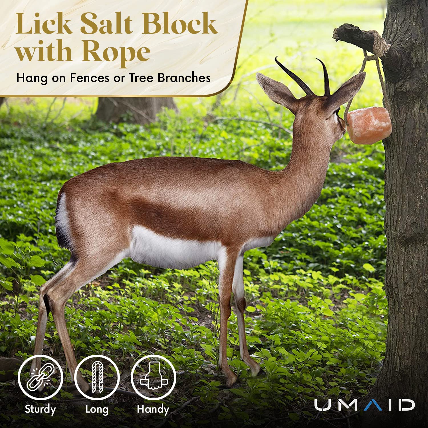 UMAID Himalayan salt lick suitable for dogs and cats as a treat.