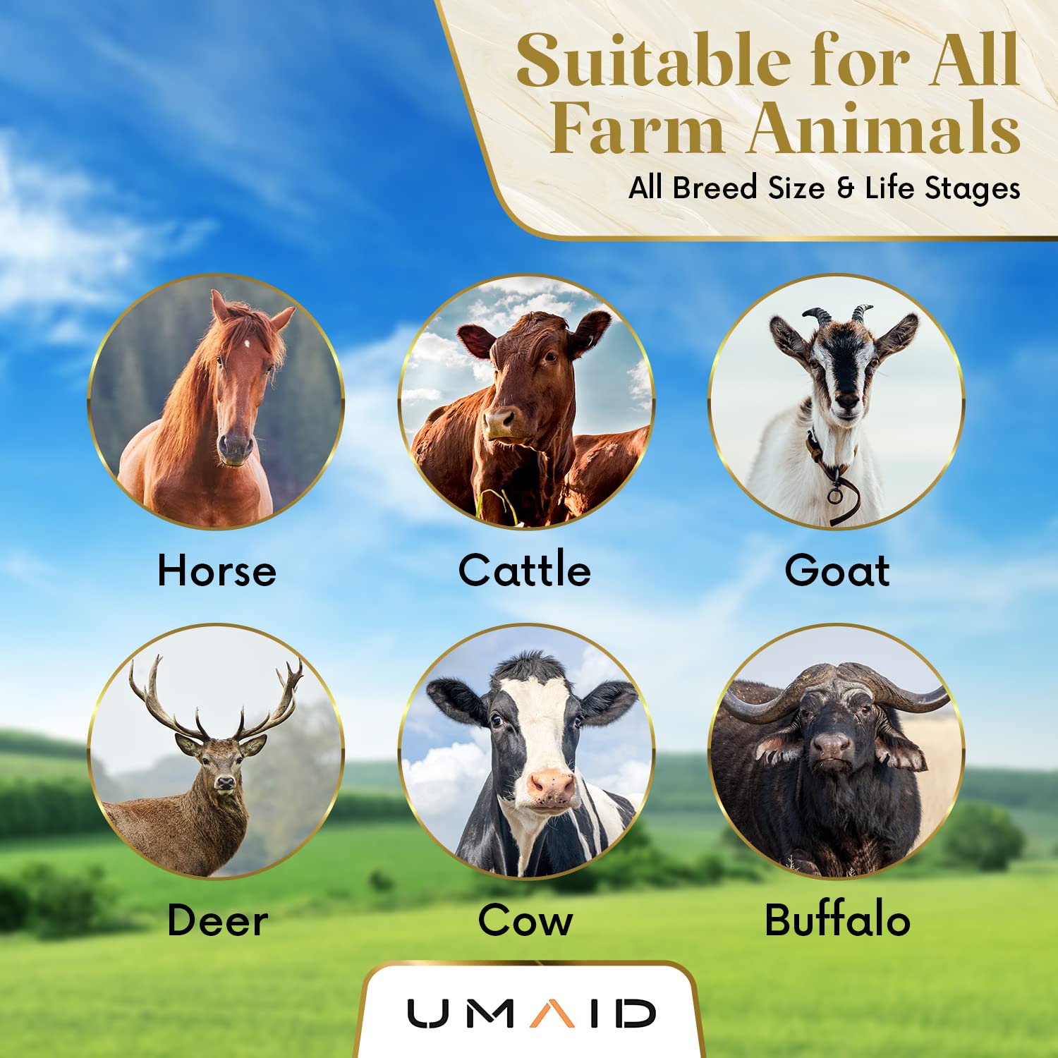 UMAID Salt Lick rope durability and secure mounting