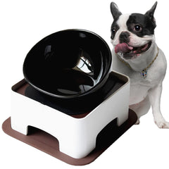 Umisun ceramic bulldog bowl with wide mouth for easy loading during meals.