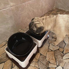 Umisun wide-mouth dish helps keep bowls stable for daily use.