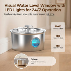 Quiet pump and dual spout of UMOCUOY fountain reduce disturbance.