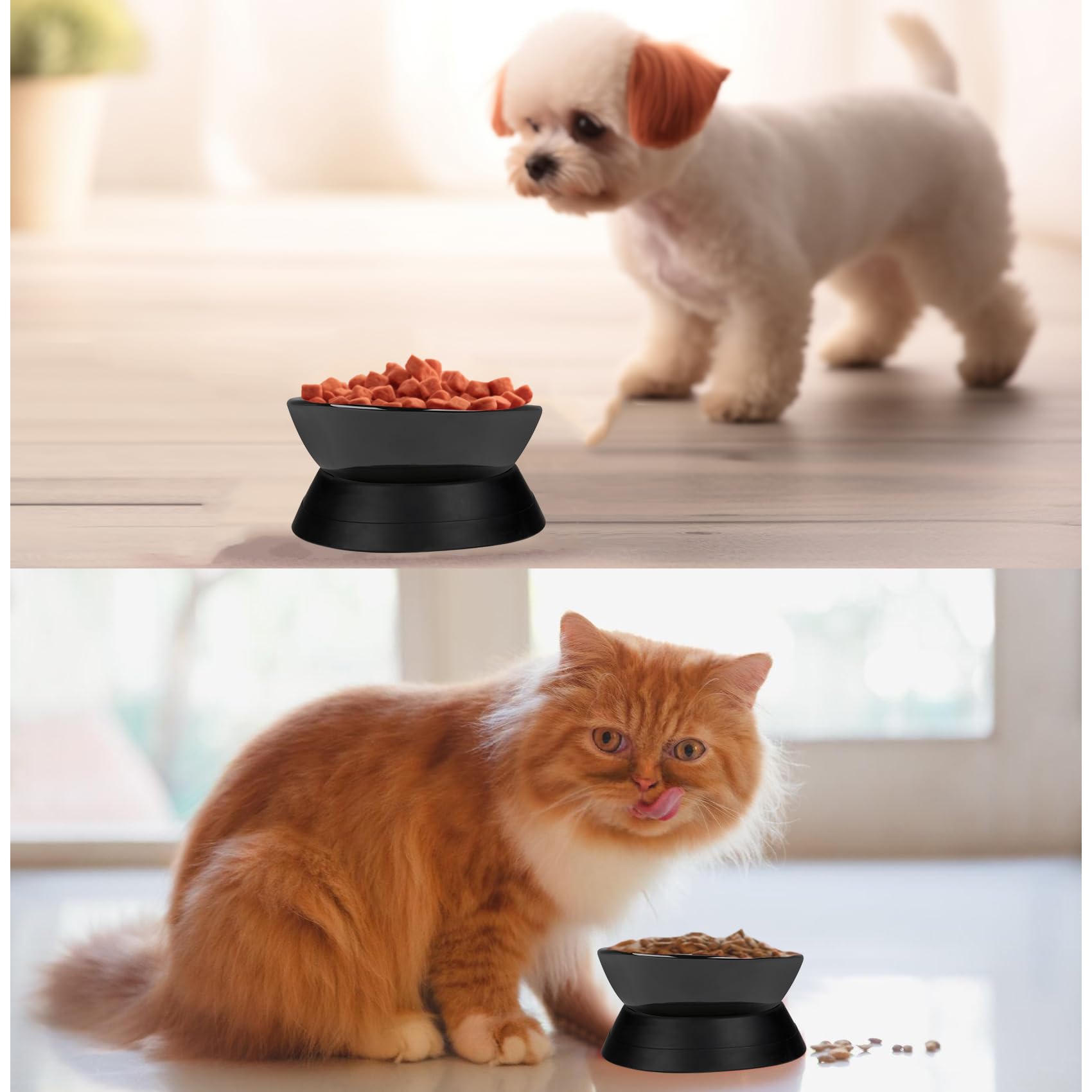 Umysky two-part design includes bowl and base for versatile small-pet use.