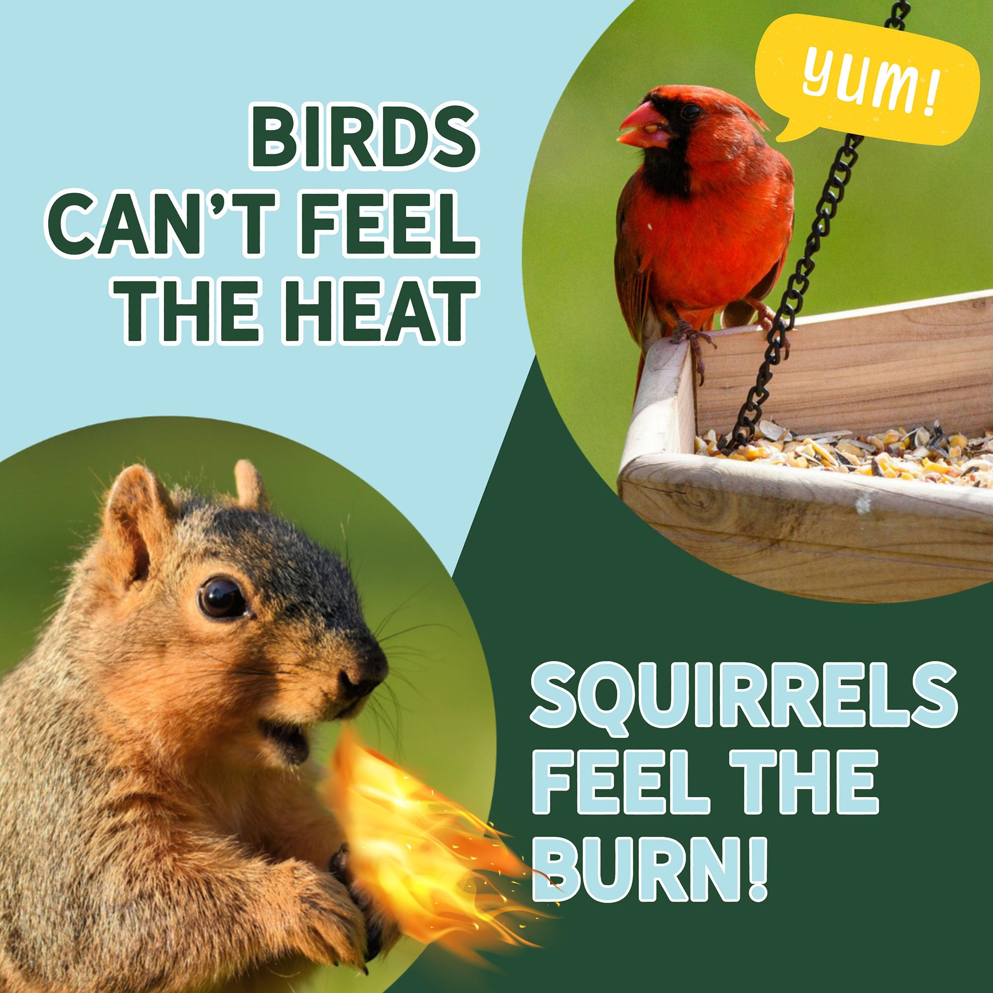 Uncle Dunkels feeder pole application image shows deterrent repelling hungry squirrels.