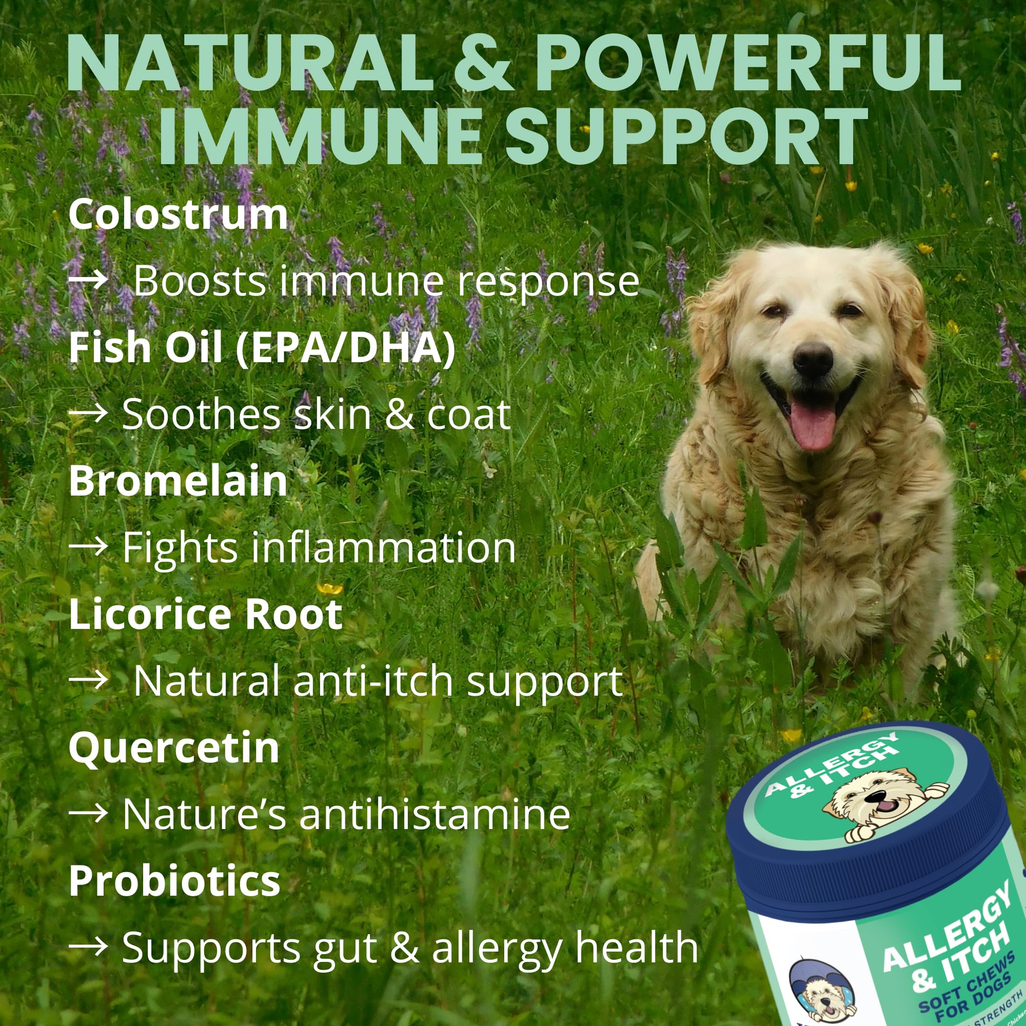 Under the Weather allergy chews ingredients close-up features fish oil and probiotics for comfort.