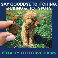 Under the Weather allergy chews label close-up highlights vet-formulated ingredients for skin and immune support.