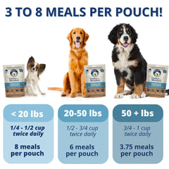 Under the Weather bland diet dog eating from bowl—easy-to-digest meal option during tummy upset.