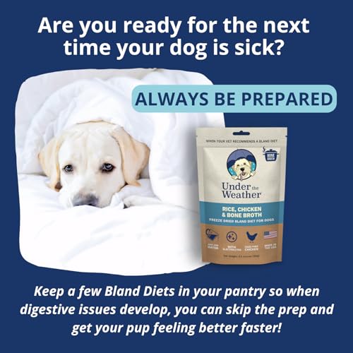 Under the Weather bland diet rehydration water—quick hydration after vomiting.
