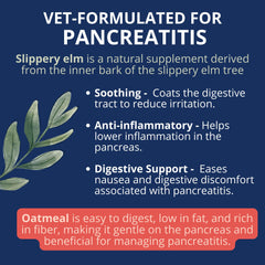 Under the Weather bland diet electrolyte blend image highlights hydration and energy potential for dogs.