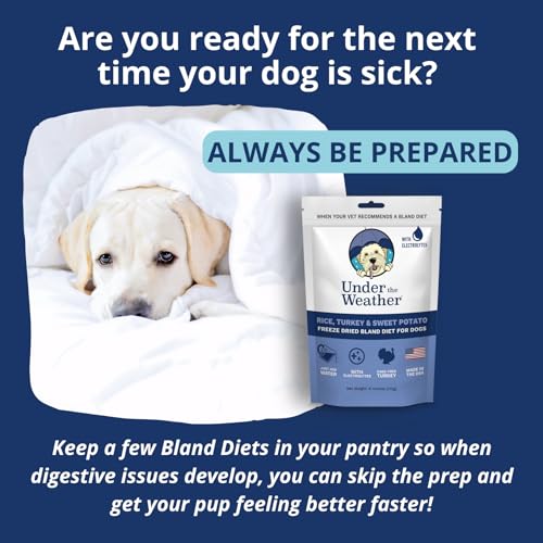 Under the Weather Bland Diet freeze-dried bites close-up for gentle nourishment.
