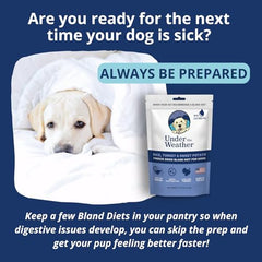 Under the Weather Bland Diet freeze-dried bites close-up for gentle nourishment.