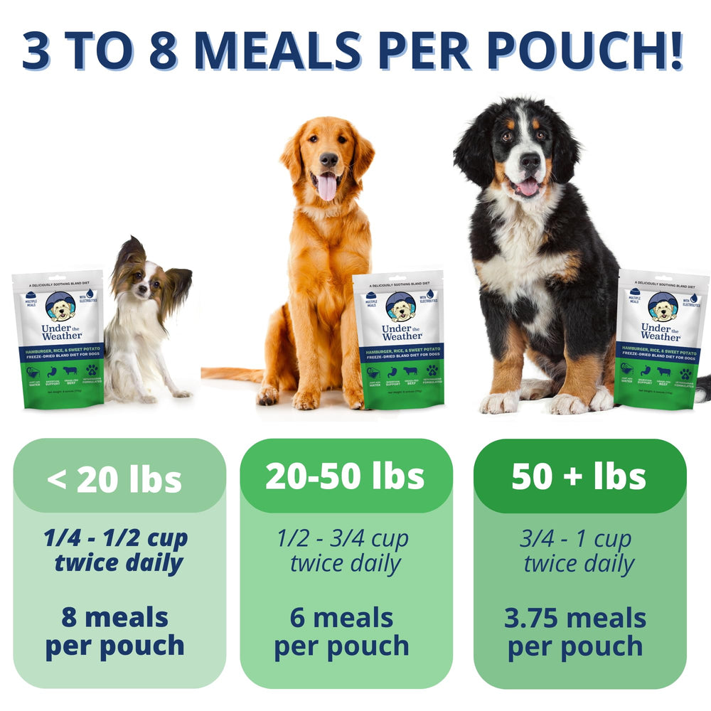 Under the Weather bland diet rehydrated bowl demonstrates easy feeding after digestive upset