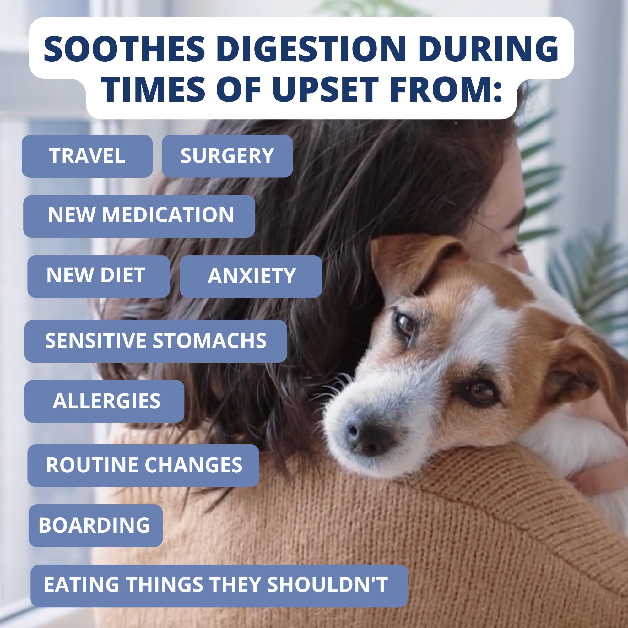 Under the Weather Bland Diet USA-made packaging signals high-quality manufacturing.