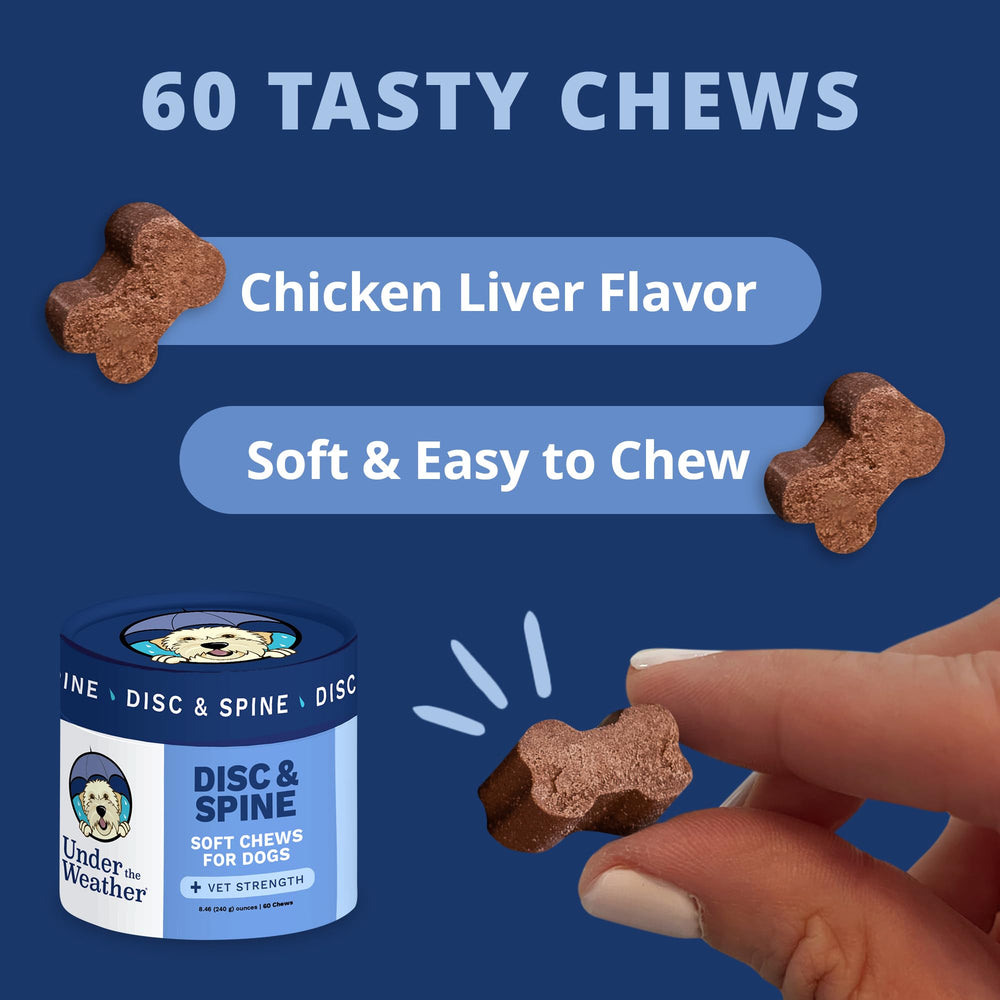 Under The Weather Disc & Spine Chews closeup of chews with chicken flavor for tasty daily spine support