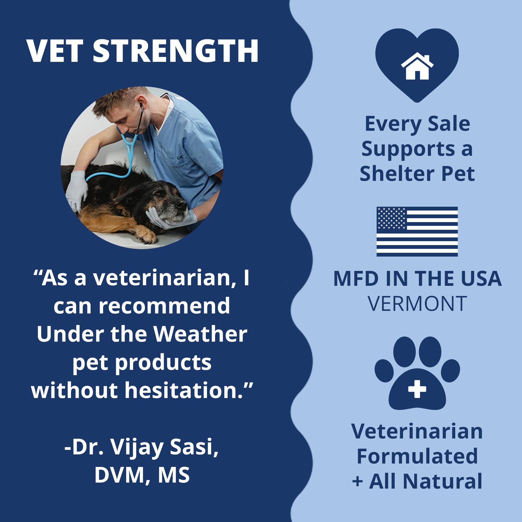 Under The Weather disc & spine chews for dachshund use supports back comfort