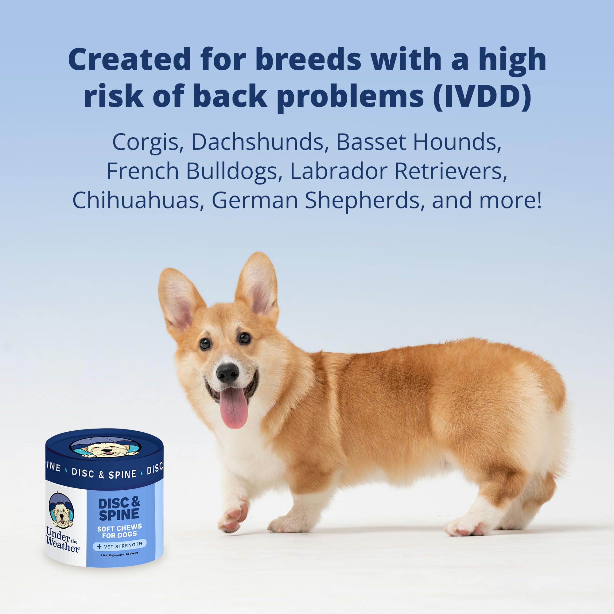 Under The Weather eco-friendly paper jar packaging for disc & spine chews