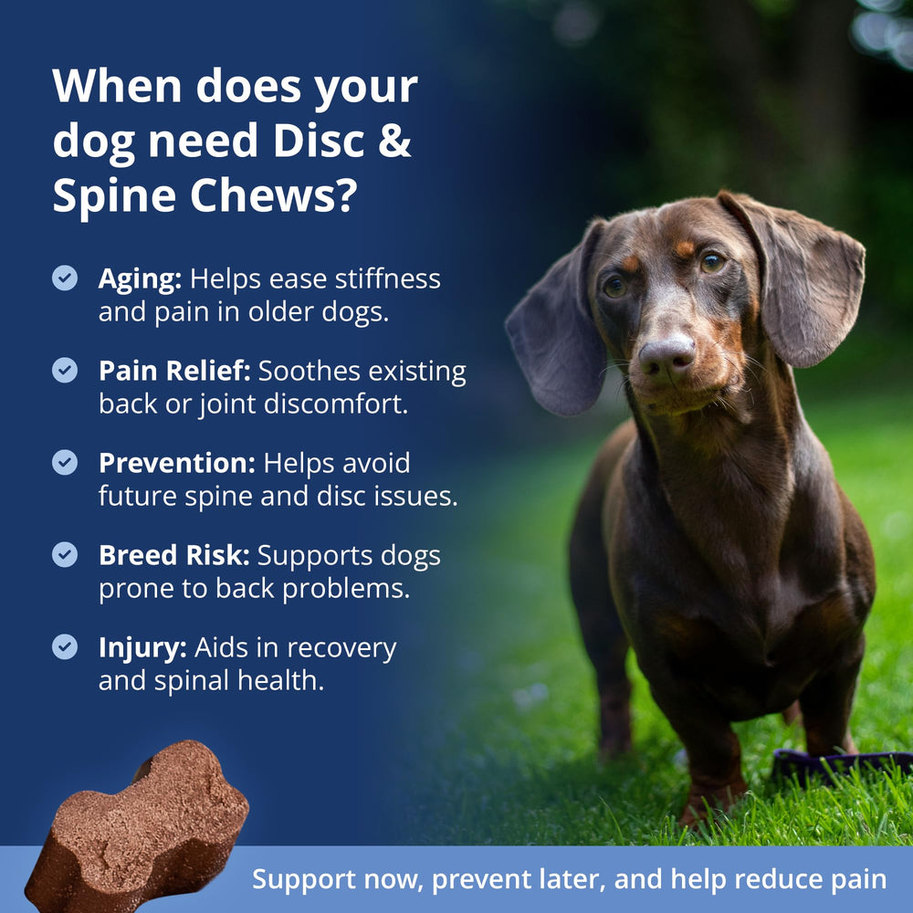 Under The Weather vet-formulated chews highlight USA-made quality and safe packaging