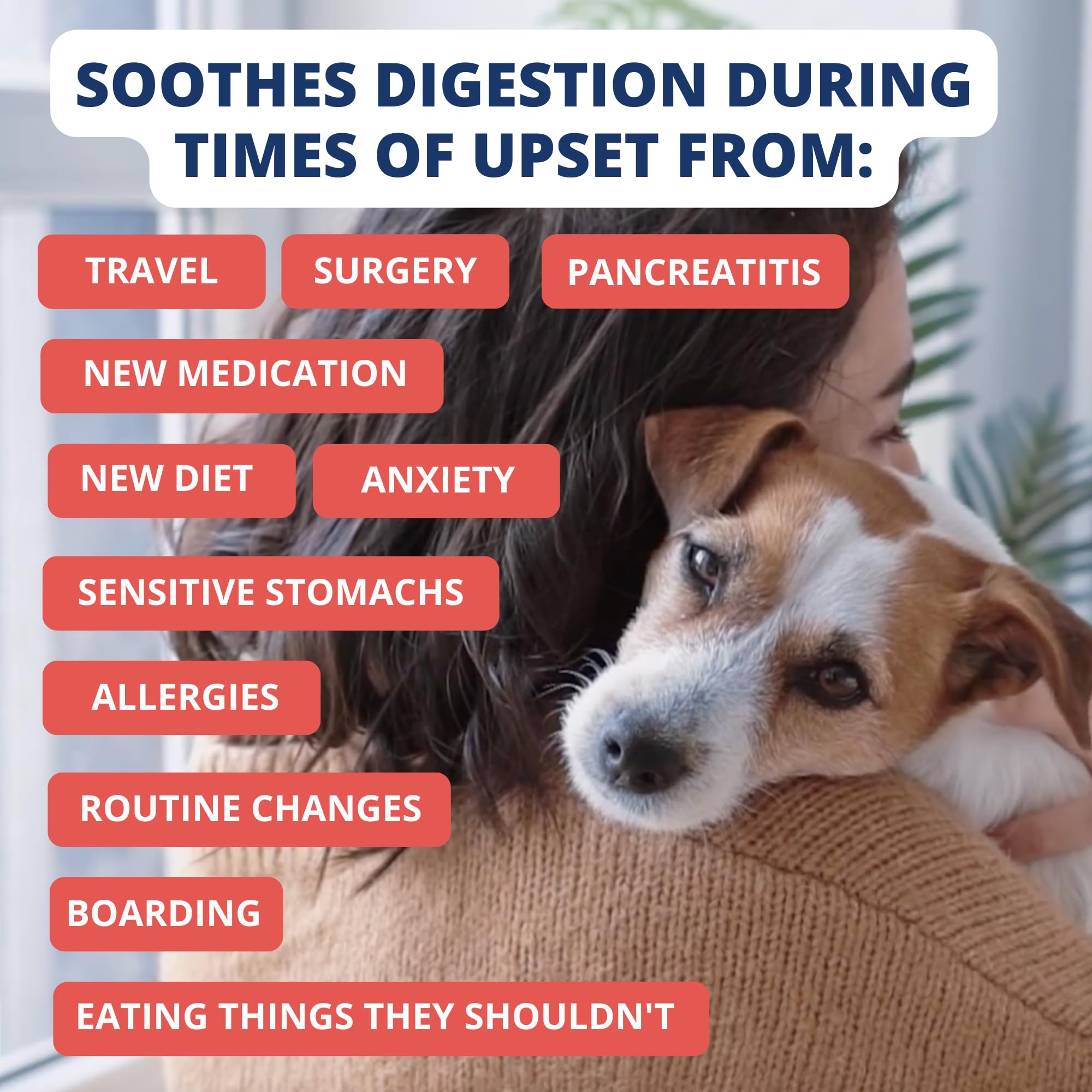 Under the Weather electrolyte blend hydration supports energy during recovery.