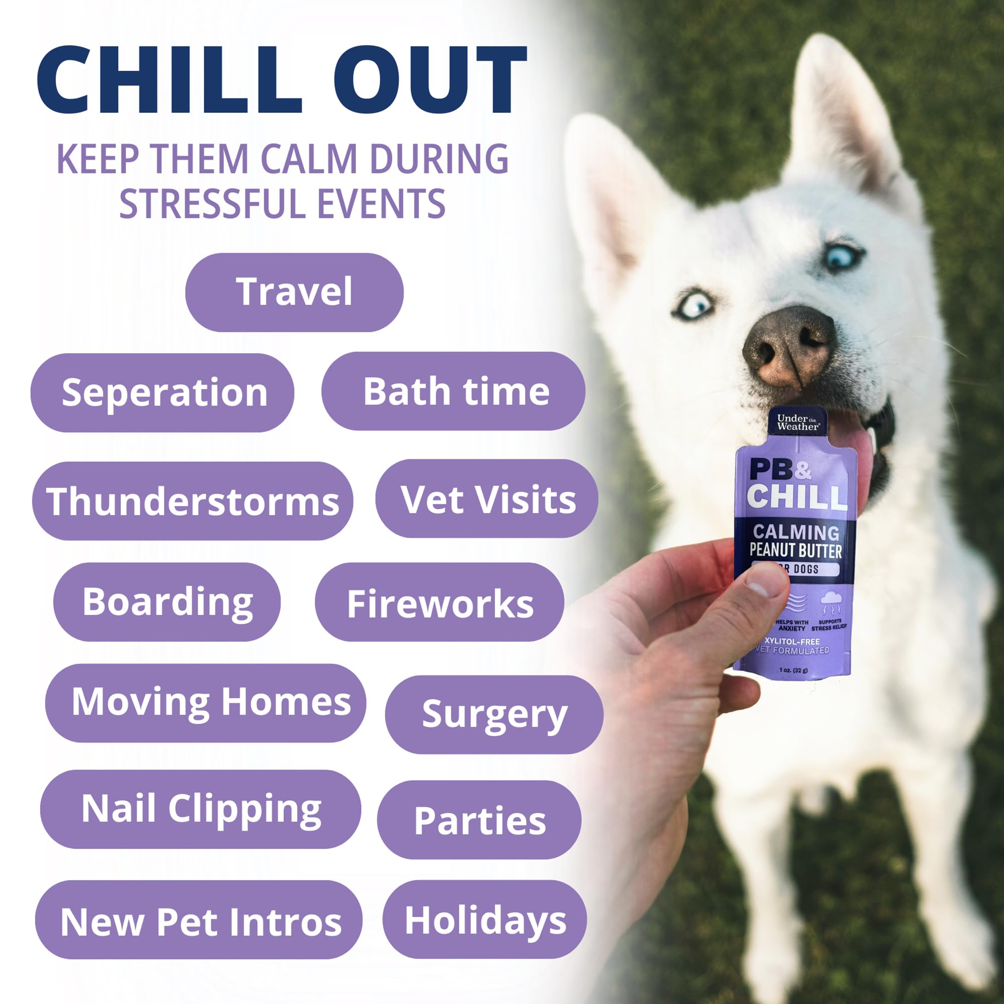 Under the Weather PB Chill USA-made badge close-up emphasizing all-natural ingredients.