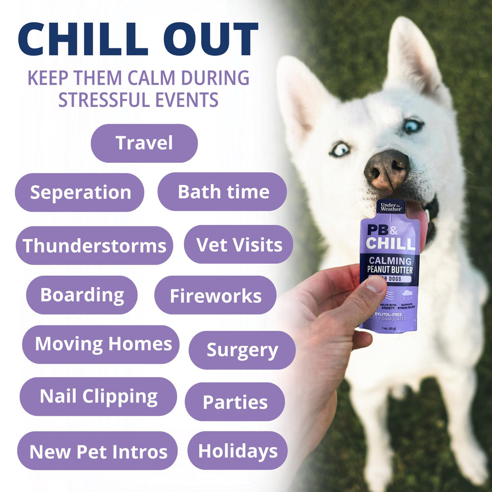 Under the Weather PB Chill USA-made badge close-up emphasizing all-natural ingredients.