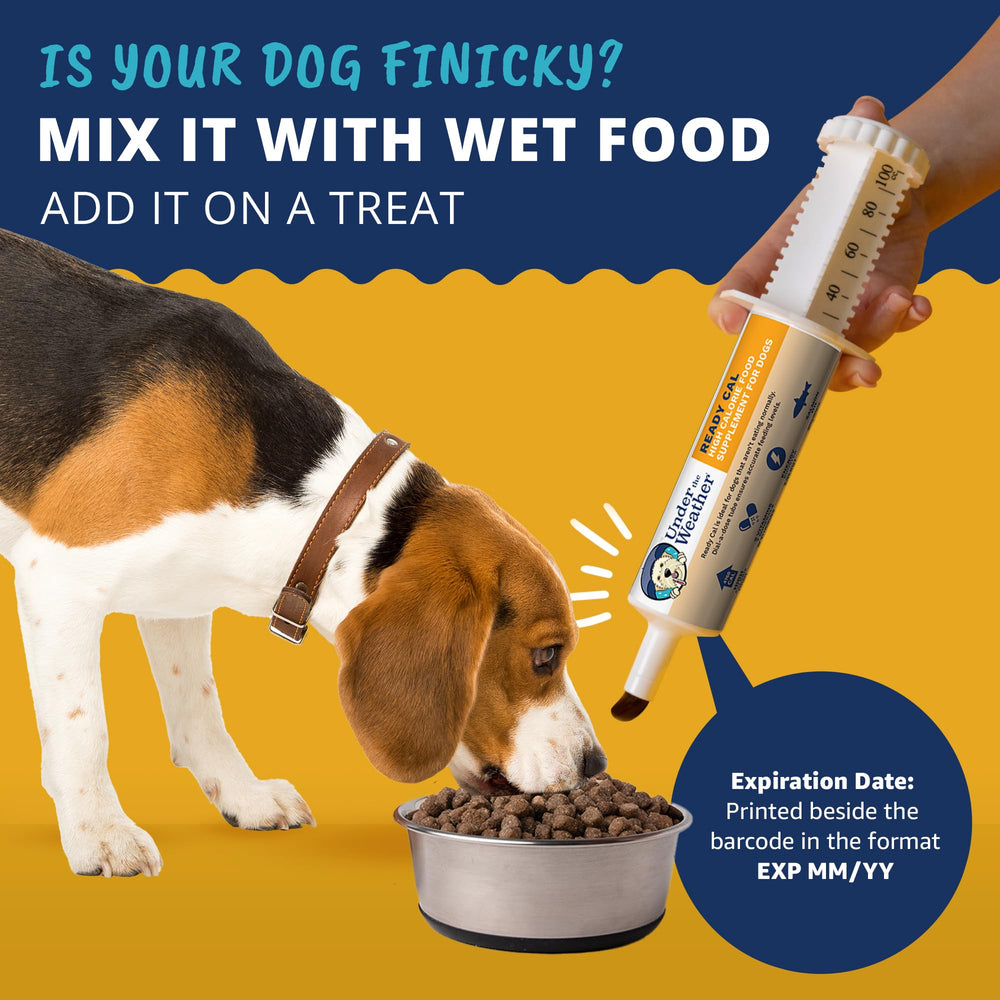 Under the Weather Ready Cal veterinary-formulated supplement trusted by vets