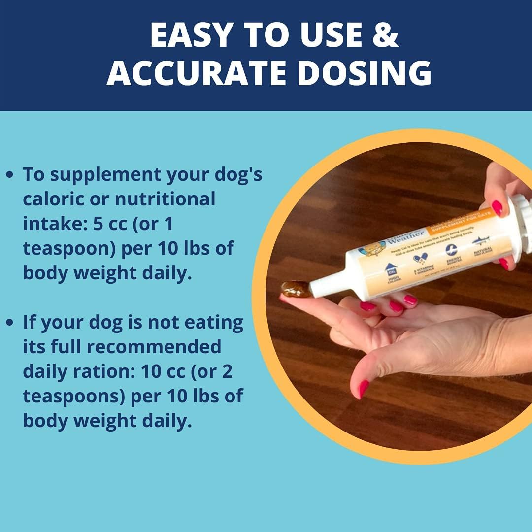 Under the Weather Ready Cal for Dogs bowl with kibble hints at improved palatability and intake