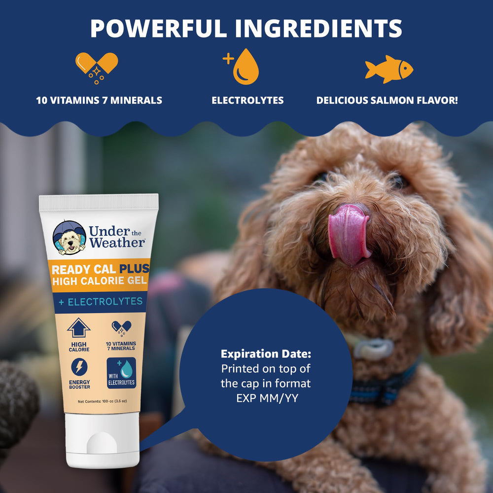 Under the Weather Ready Cal Plus Gel ingredients label highlights electrolytes and omega fatty acids for coat health