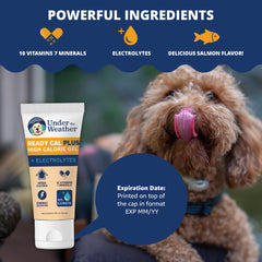 Under the Weather Ready Cal Plus Gel ingredients label highlights electrolytes and omega fatty acids for coat health