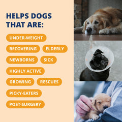 Under the Weather Vet-formulated Ready Cal Plus Gel, trusted nutrition for growing puppies and senior dogs