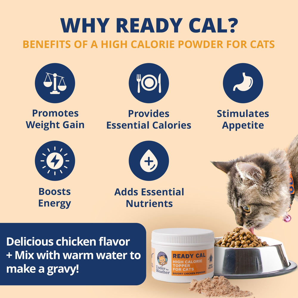 Under the Weather Ready Cal chicken-flavor powder close-up appeals to cats' palates.