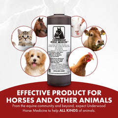 Underwood Horse Medicine joint-area wound application — great for hard-to-treat spots.