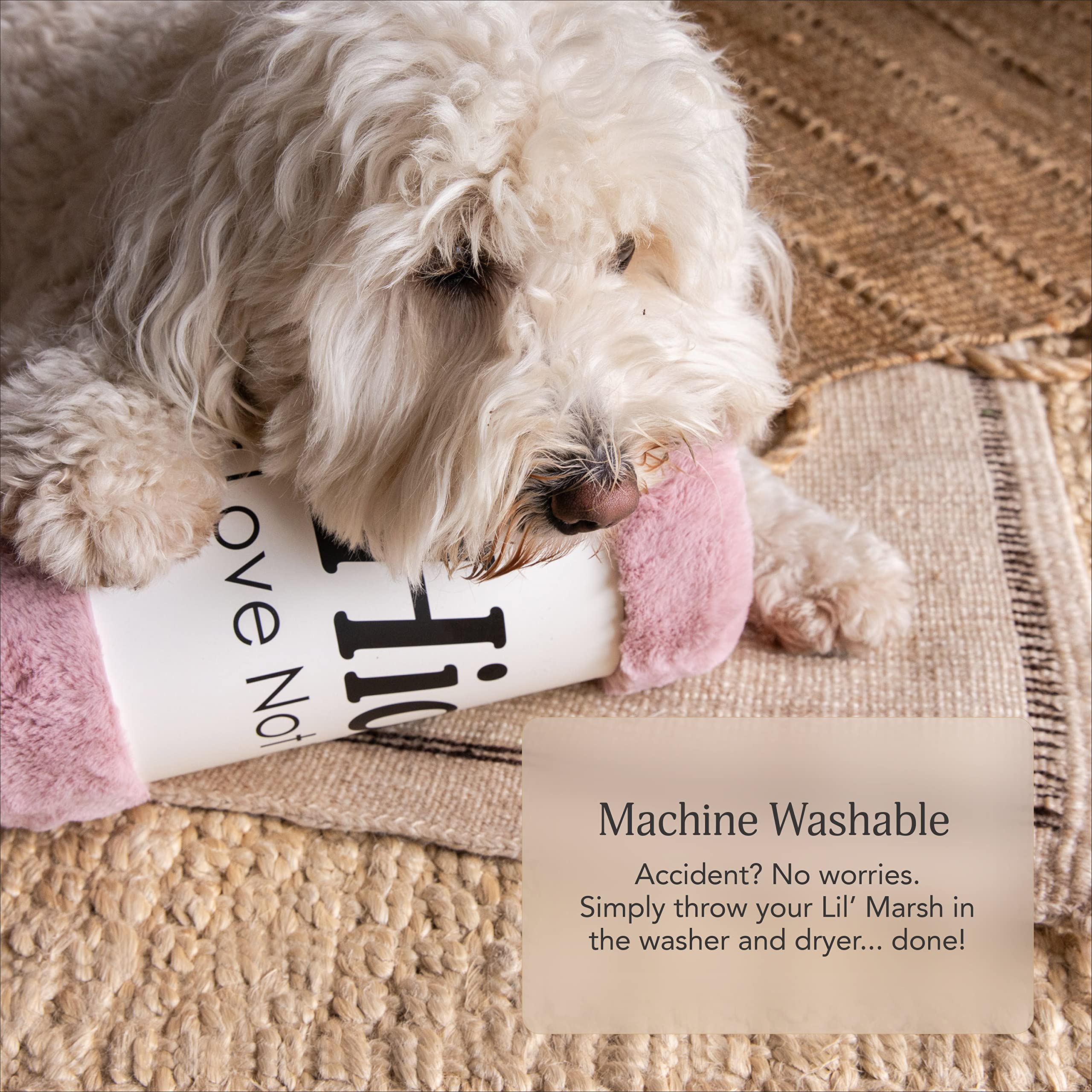 UnHide Lil’ Pet Marsh crate-ready design blends with any space.