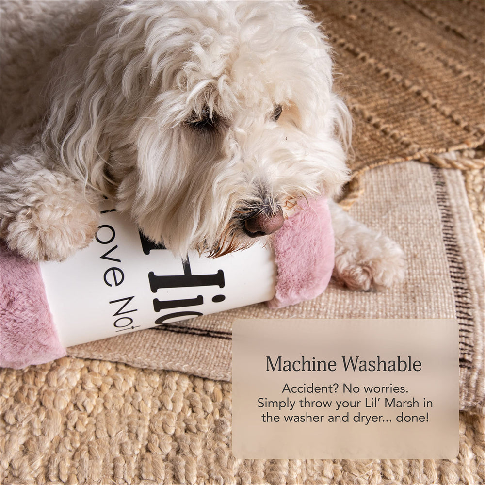 UnHide Lil’ Pet Marsh crate-ready design blends with any space.