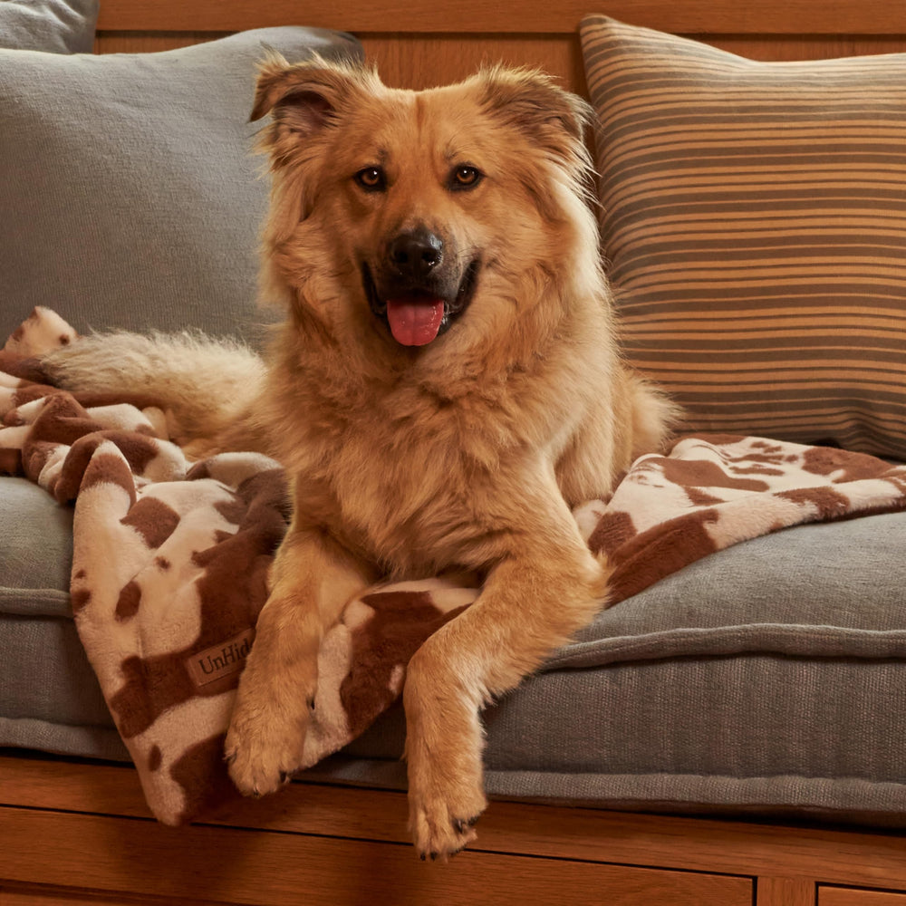 UnHide Lil’ Pet Marsh washable blanket for easy cleaning.
