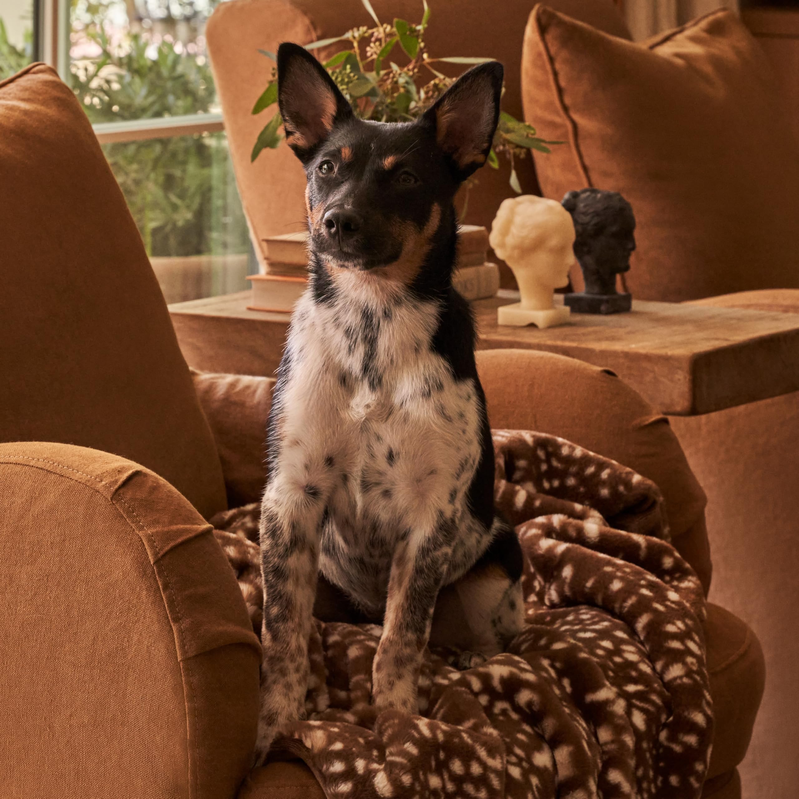 UnHide Lil’ Pet Marsh wash-dry label indicates easy cleaning between snuggles.