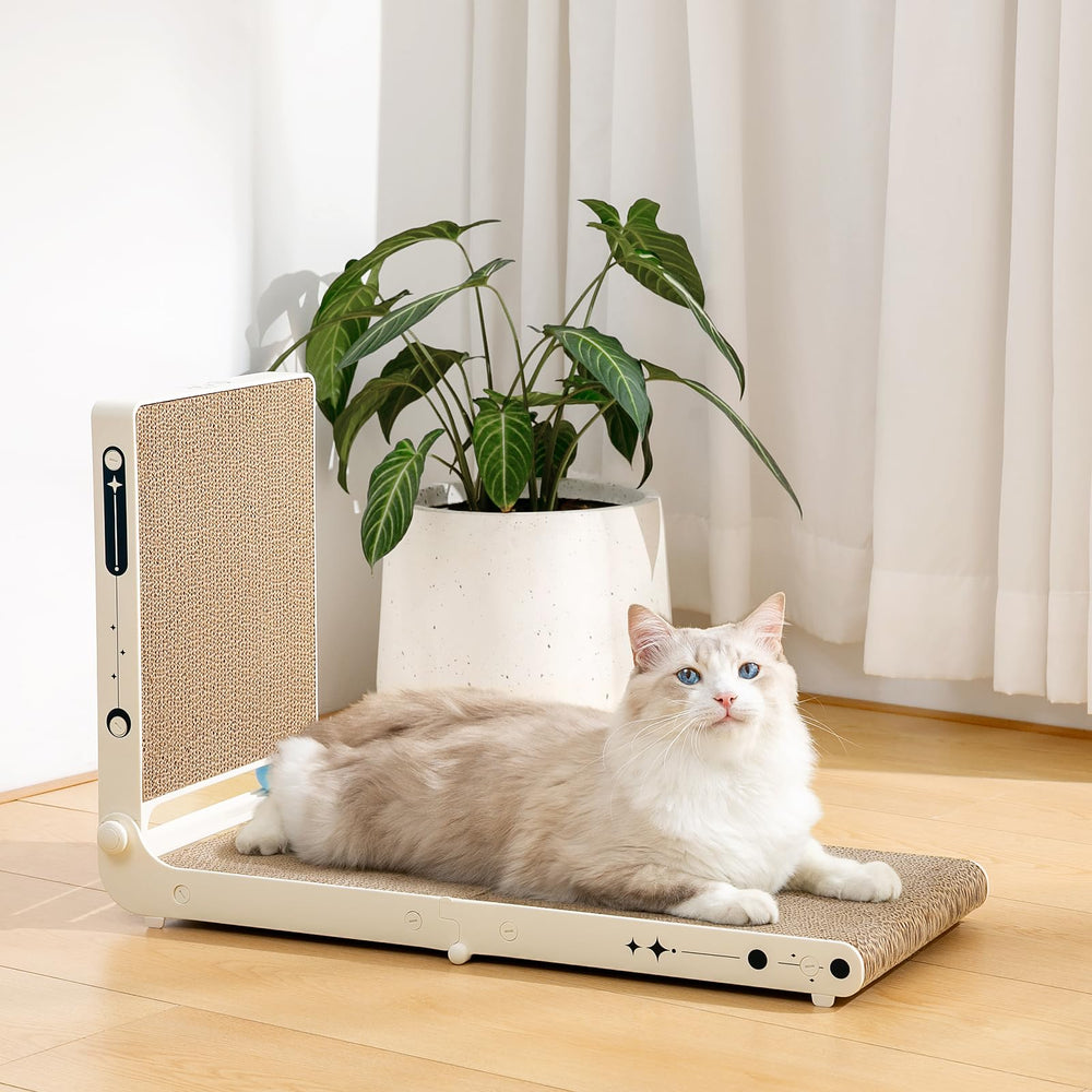 UniBlissy ready-to-use design shows no-assembly setup and instant kitty fun