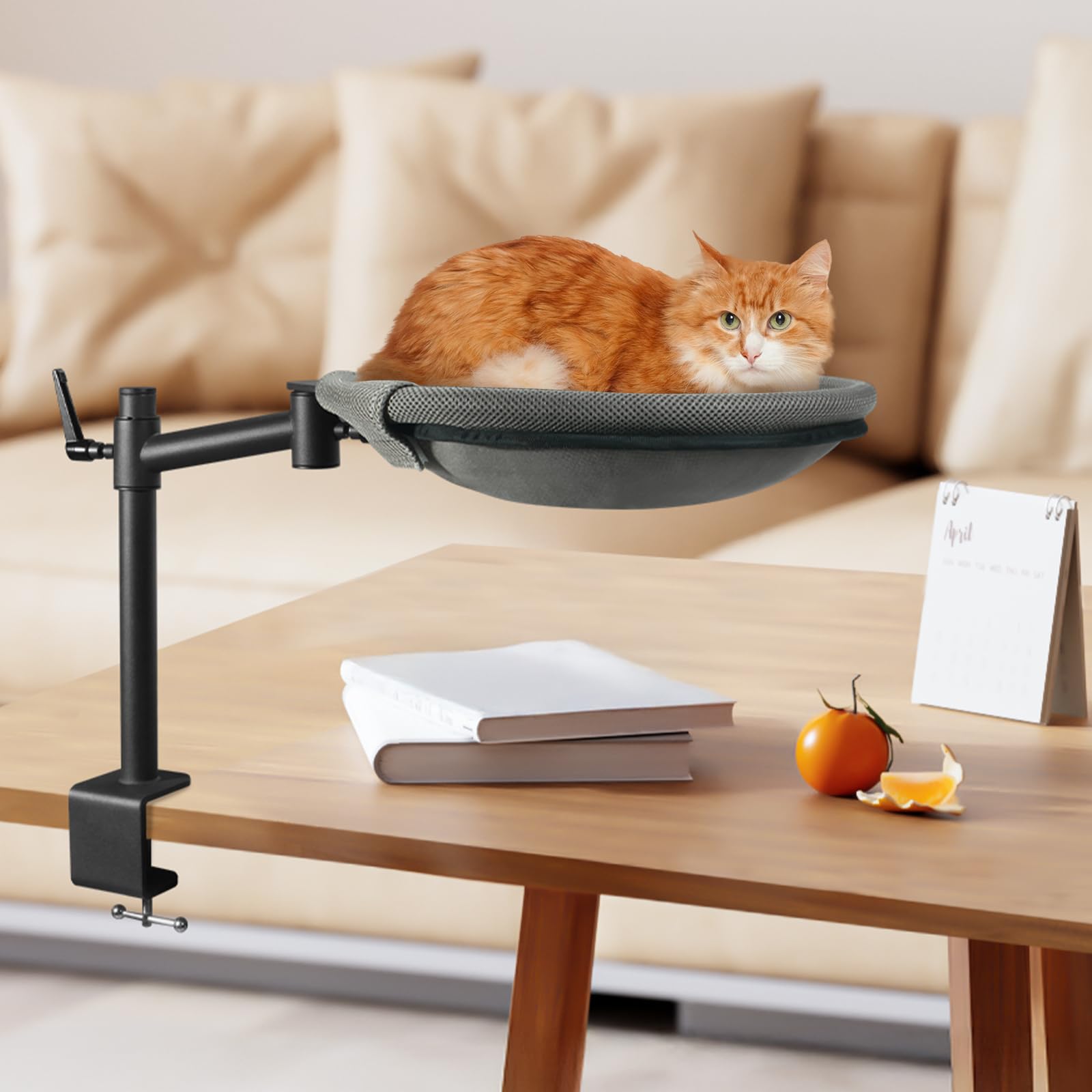 Unidevice Cat Desk Bed cat and owner relaxing setup promotes calm focus