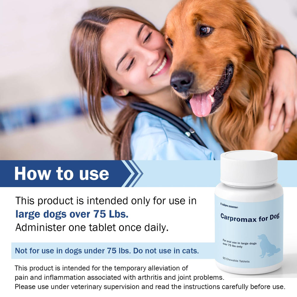 Unipomme Carpromax helps a dog walk with improved mobility on a sunny day.