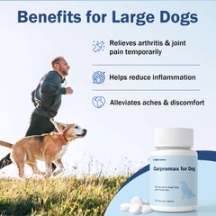 Unipomme Carpromax tablets closeup highlighting easy-to-swallow design and benefits.