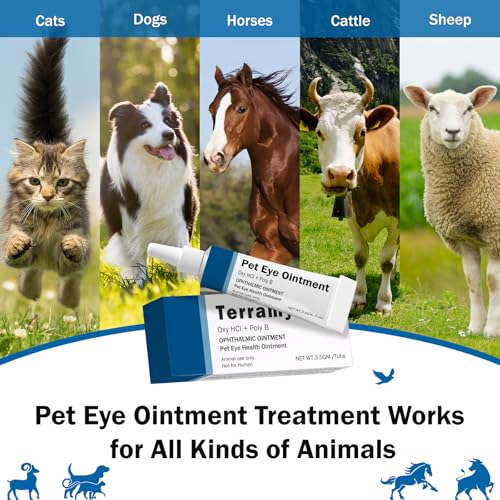 Unipomme eye ointment packaging demonstrates travel-friendly size
