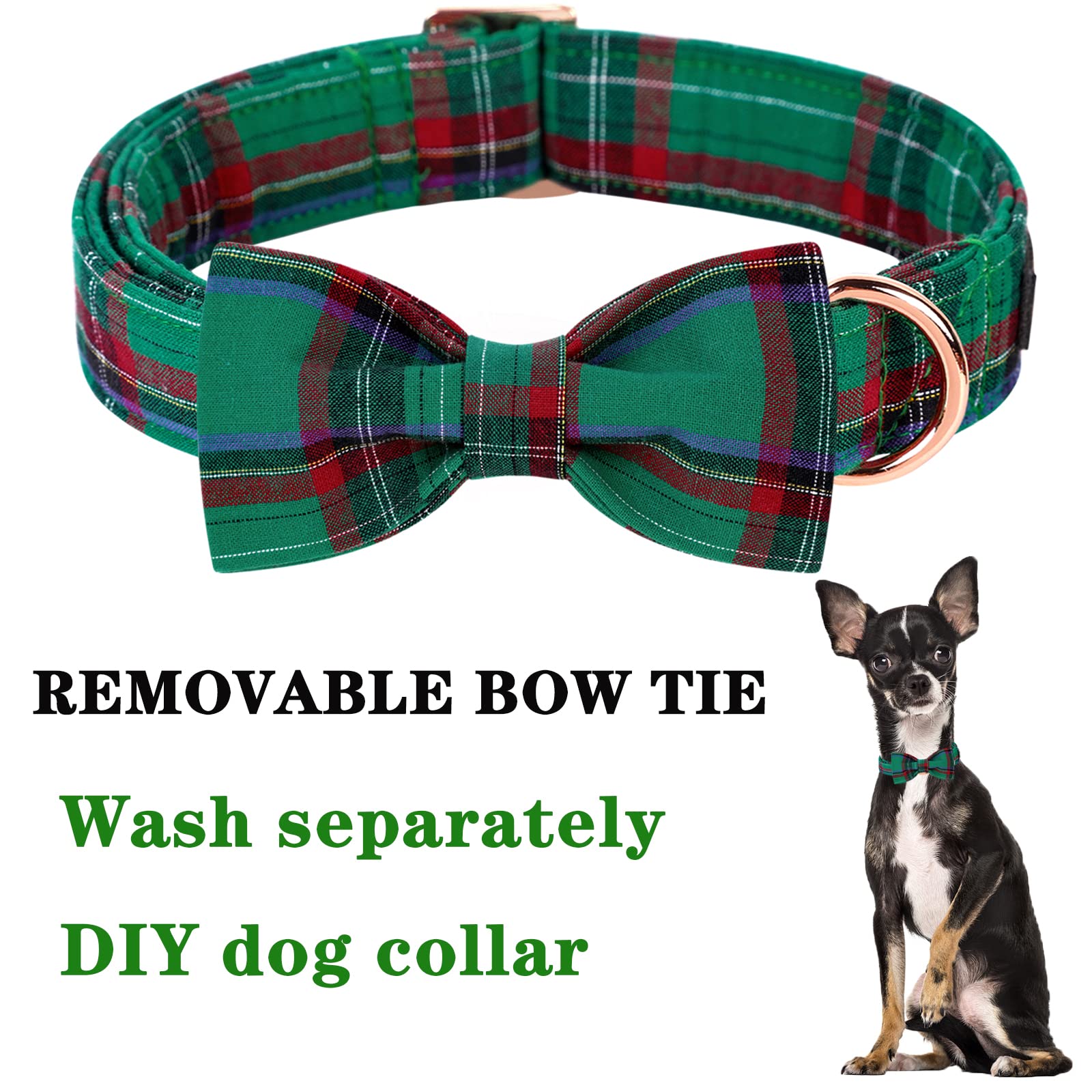 Unique Style Paws adjustable buckle and D-ring for a secure fit.