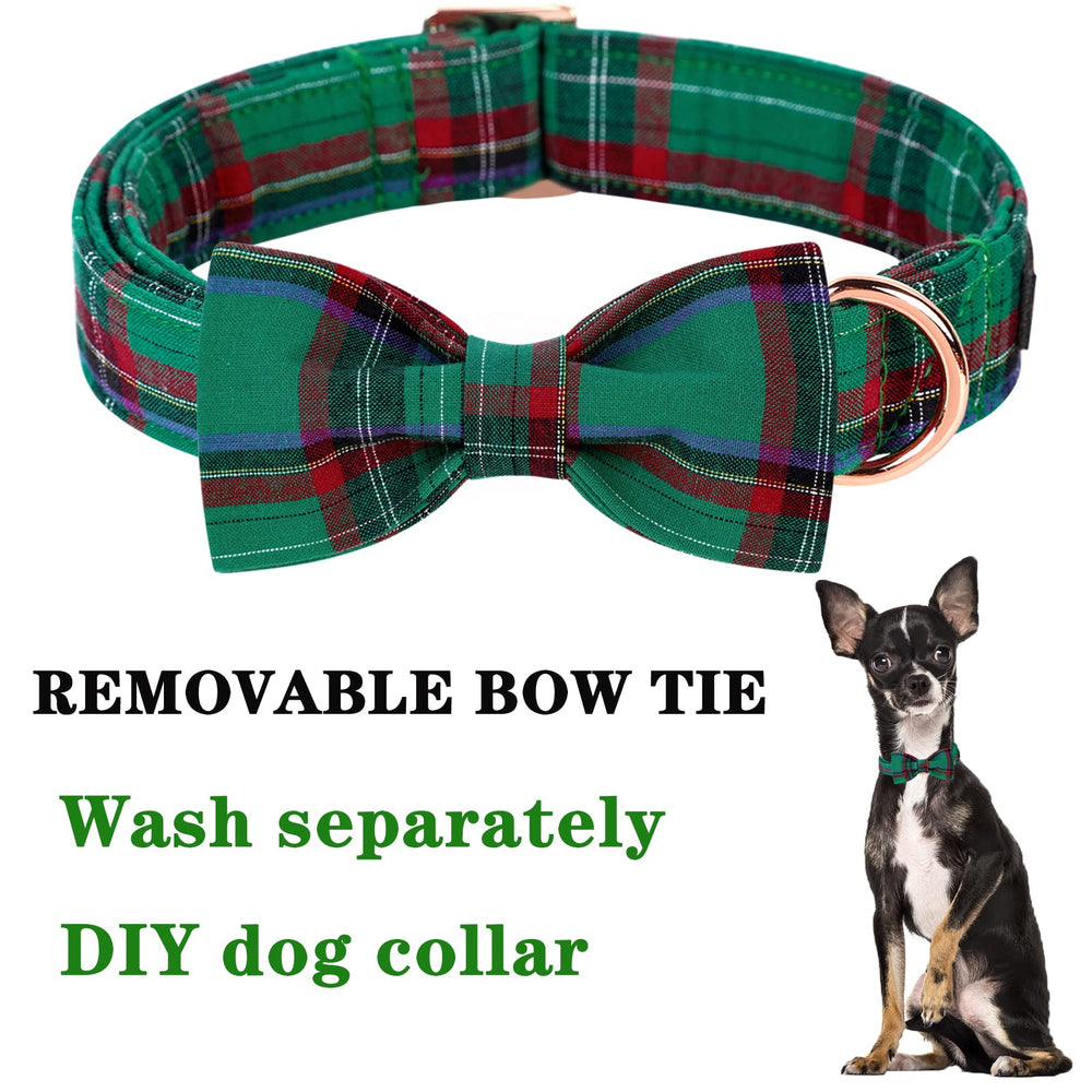 Unique Style Paws adjustable buckle and D-ring for a secure fit.