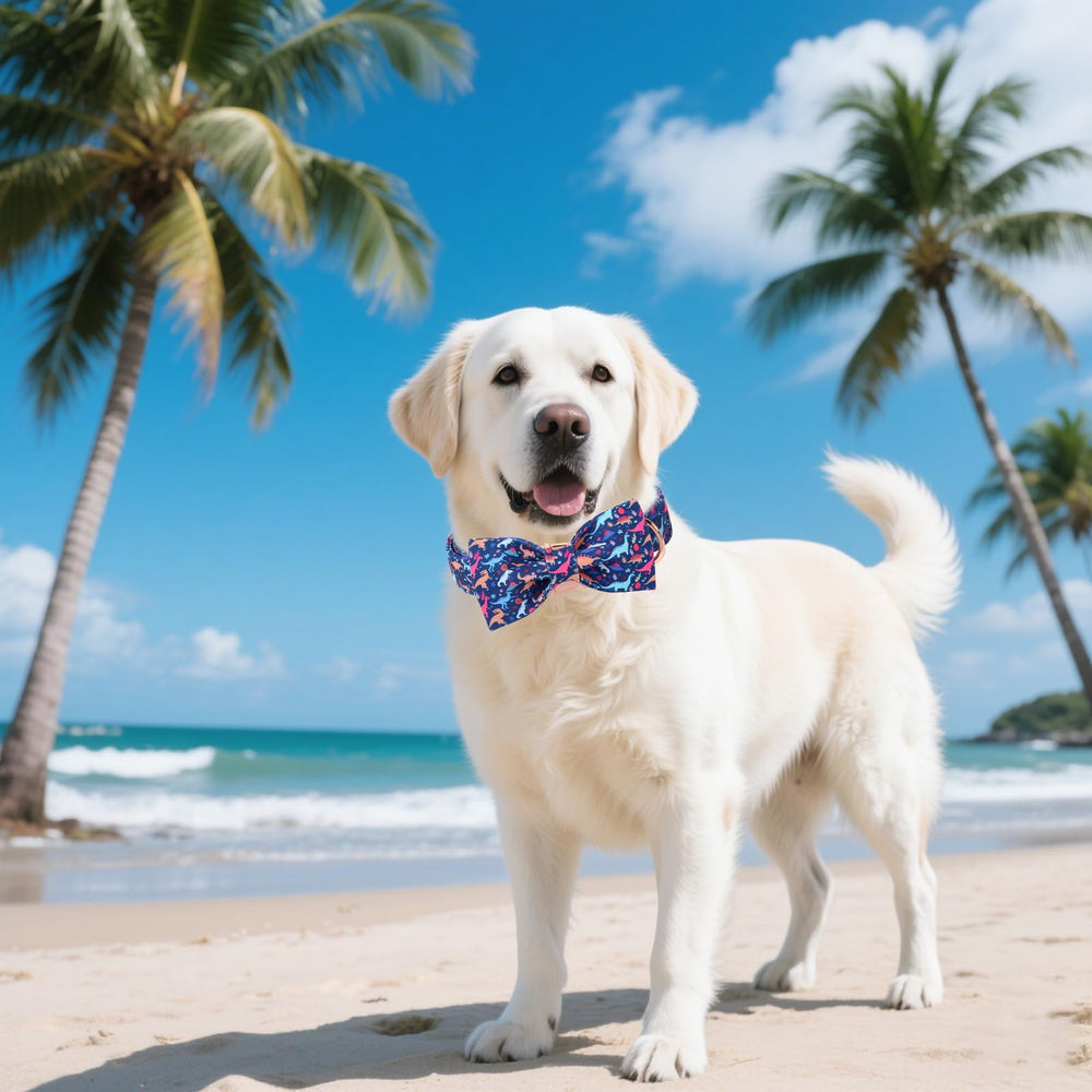 Unique Style Paws adjustable buckle dog collar ensures comfortable fit as dogs grow.