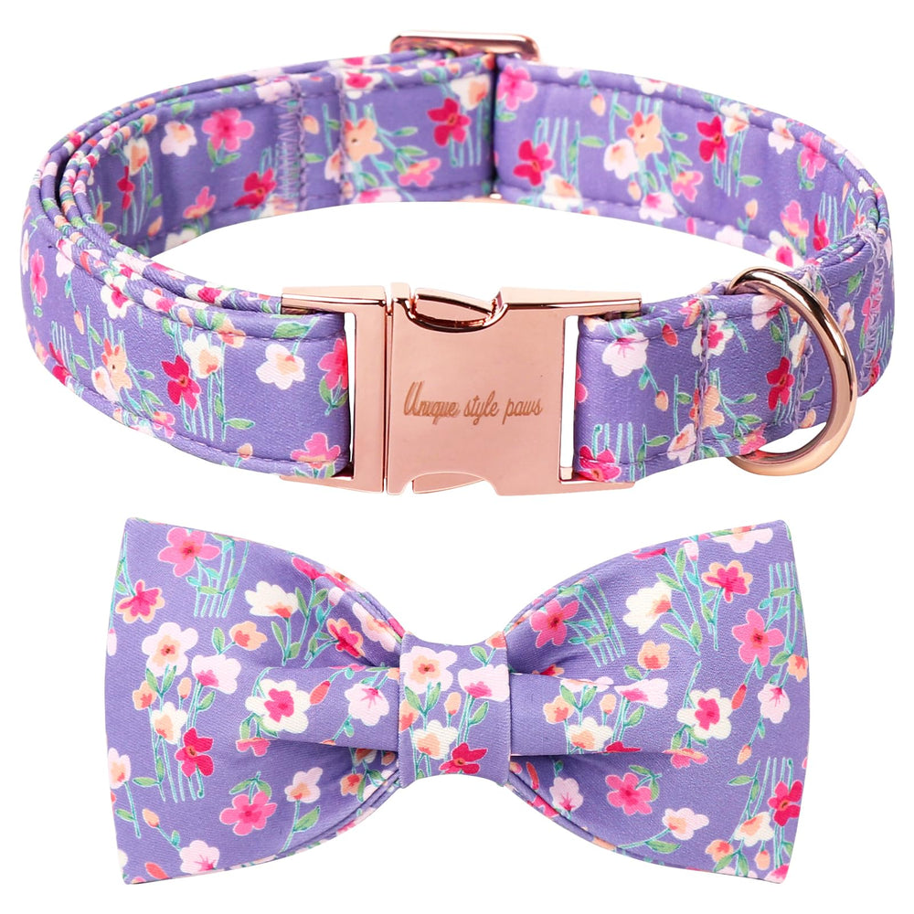 Collar Unique style paws con lazo removible para estilos diarios