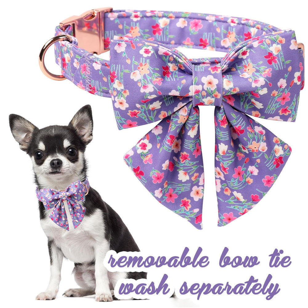 Unique Style Paws removable bowtie flower on collar offers versatile styling options.