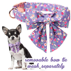 Unique Style Paws removable bowtie flower on collar offers versatile styling options.